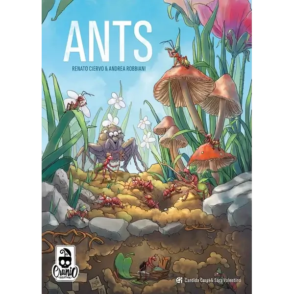 Ants